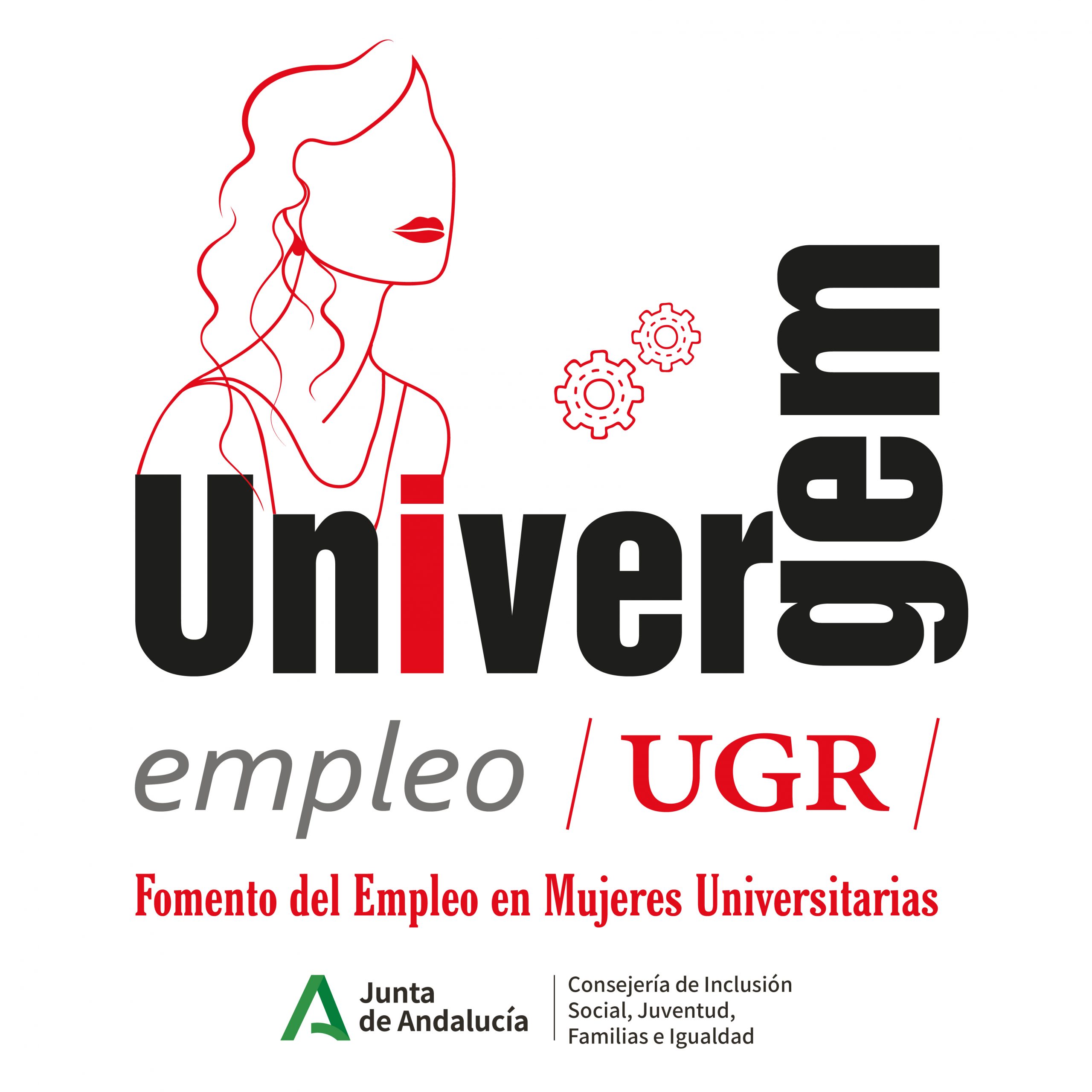 Imagen de portada de Inaugurado el Programa UNIVERGEM