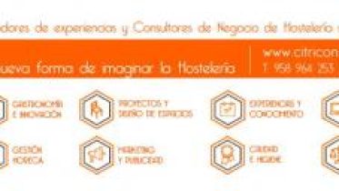 Consultores-e1507128758600