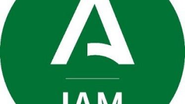 Logo IAM