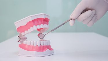 ODONTOLOGÍA