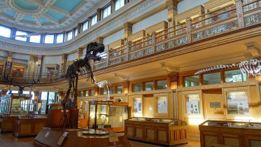 Redpath_Museum_-_McGill_University_-_Montreal,_Canada_-_DSC07893