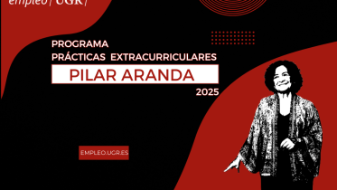 tamaño web